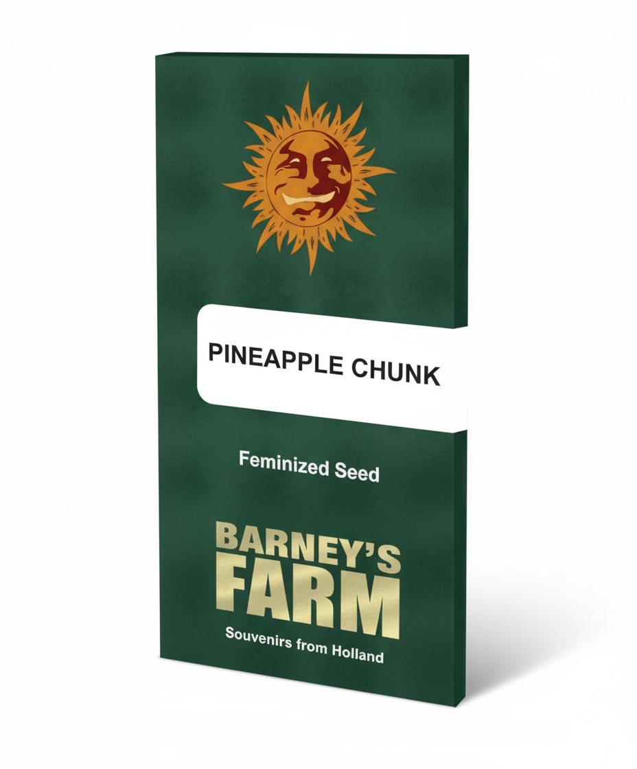 PINEAPPLE CHUNK (fem)