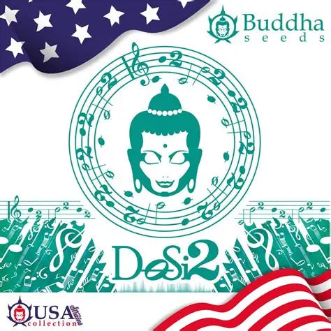 BUDDHA SEEDS