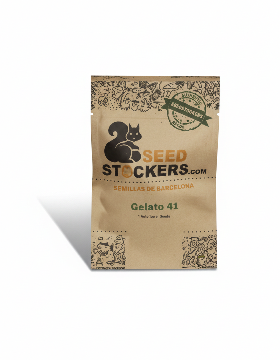 GELATO 41 a(auto)