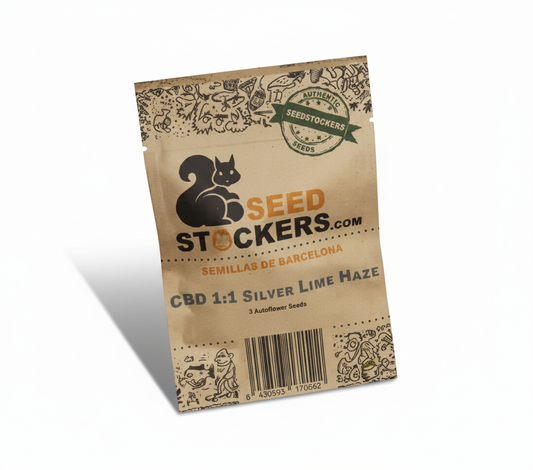 SILVER LIME HAZE CBD 1:1 (auto)