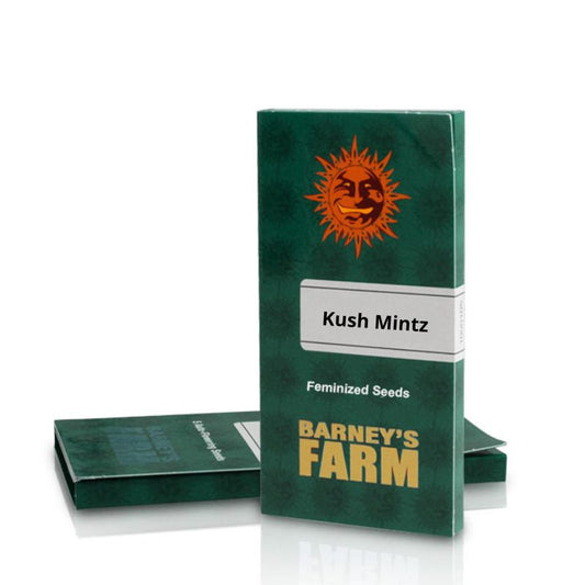 Kush Mintz Barneys Farm