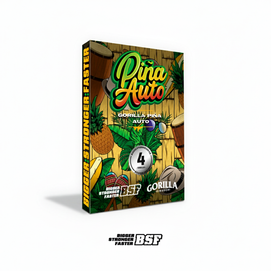 PIÑA AUTO x BSF