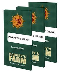Pineapple Chunk - FEM seeds (unidad)