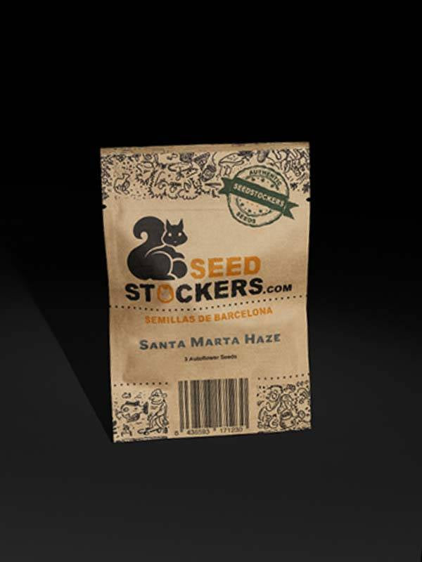 Santa Marta haze fem Seedstockers superior