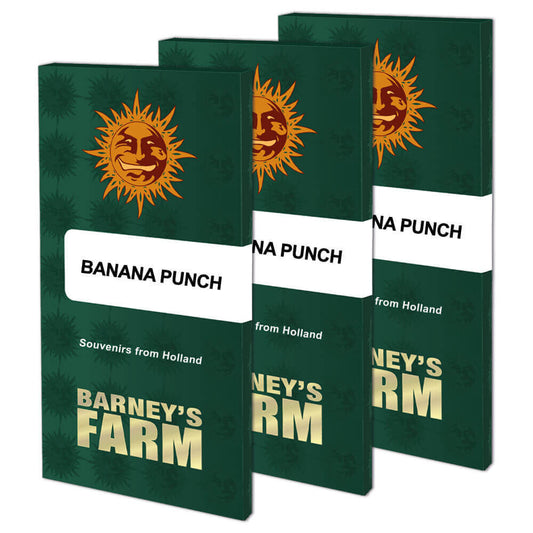 Banana punch - FEM (UN)