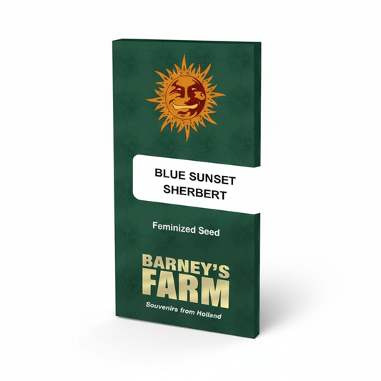 BLUE SUNSET SHERBERT (fem)