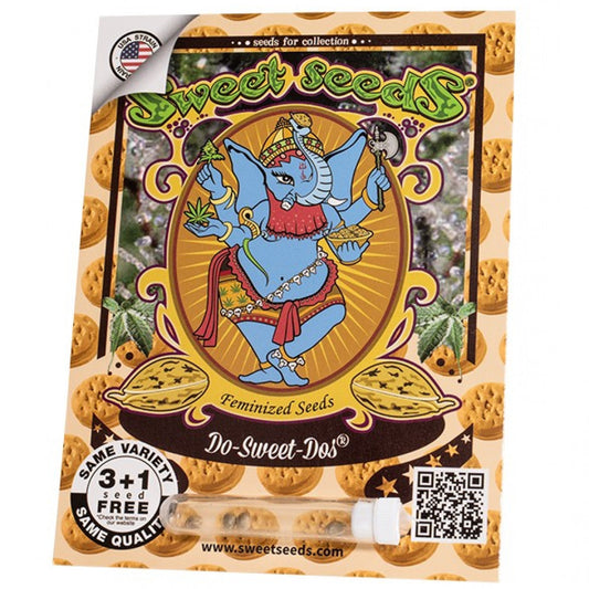 DO SWEET DOS x SWEET SEED
