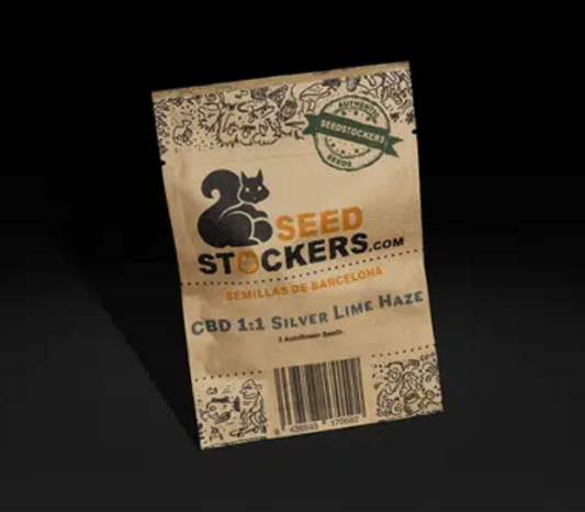 Silver Lime Haze CBD 1:1 Auto