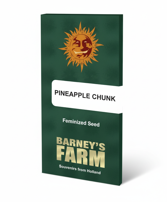 PINEAPPLE CHUNK  (fem)