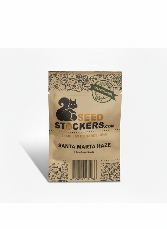 SANTA MARTA HAZE (fem) Seedstockers